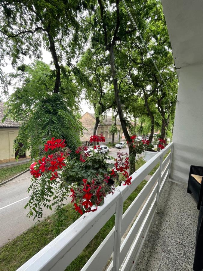 Apartman Venera Сомбор Екстер'єр фото